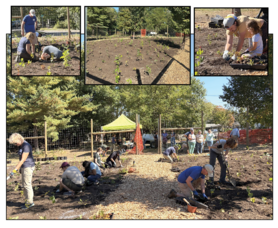 Carousel image 4dcf5f122970140639e4 planting composite 
