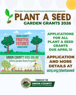 Carousel image 58f81cd54ea0c235d838 plantaseed26