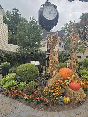 Carousel image 873487b3ca581712e3fa pocket park fall 2025