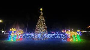 Carousel image e786179650a370c2f3eb pompano christmas tree lighting season greetings