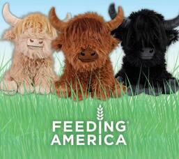 Carousel image 7b1e09adc305c53009b4 price chopper feeding america