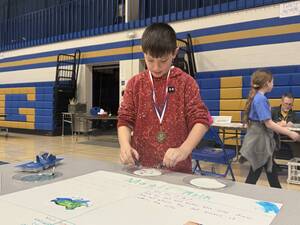 Carousel image ba1b36d53d8f9c09615a pto stem fair cutline1gray