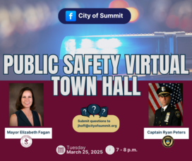 Carousel image 3d05ef4cfeb6a444d845 public safety virtual townhall