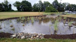 Carousel image 12c09f9cffafab15c7a6 rain garden 2 nj league of conservation voters