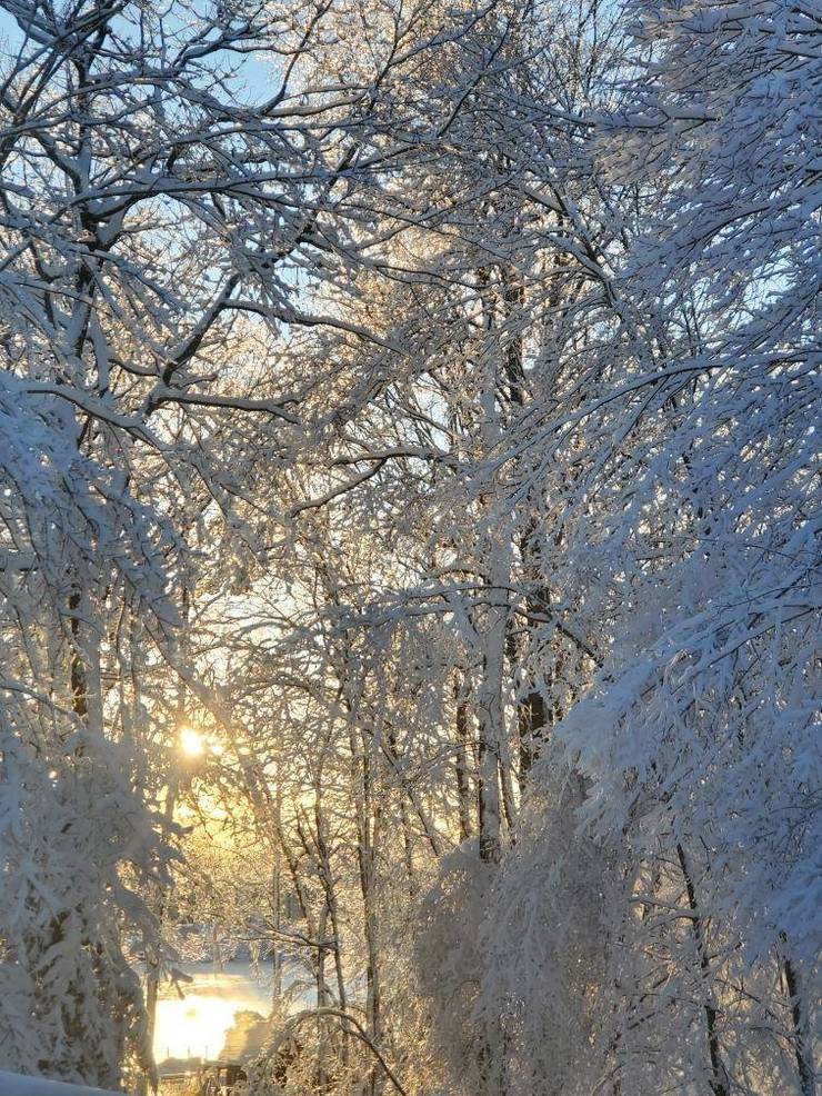 Sparta's First Snow Storm of the Season TAPinto