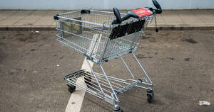 Carousel image 786a3c6fe2511f221a3f resizeplus mount laurel ordinances on shopping carts  etc  photo    01