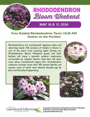 Carousel image e800a98a779e286ccdfb rhododendron weekend