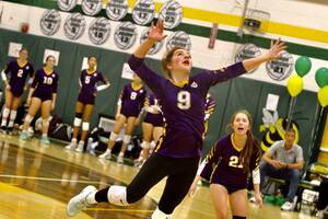Carousel image c4bcaf6f3800a986ff15 riley buckingham
