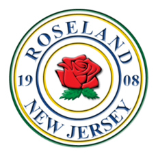 Carousel image 2f1d7e84028713d8930c roseland logo