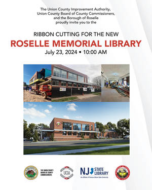 Carousel image 53d667d3ea758637f839 roselle library invite