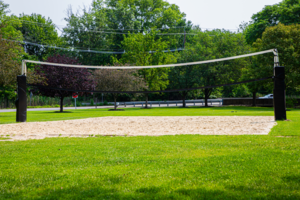 Carousel image 95627af0c32900295958 roosevelt park volleyball court photo 3