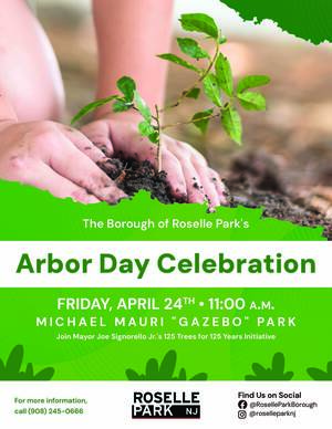 Carousel image 931555ca2a50c87b07fc rsp flyer arborday