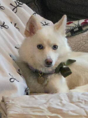 Carousel image a1743abed1d51a3122d7 s2