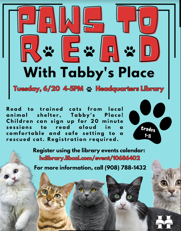 Read to Kittens and Cats at Tabby's Place! | Flemington/Raritan, NJ News  TAPinto