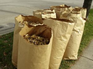 Carousel image 0ad098daf15074fc0a9c screenshot 2026 03 30 132929