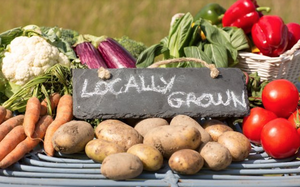 Carousel_image_0d2c3d14327b1d65cc85_screen_shot_2020-09-02_at_6.27.22_pm