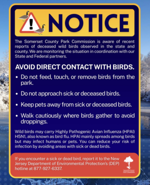 Carousel image 11edf94da02bd4ce5bde screenshot 2026 03 09 at 11.15.01 am