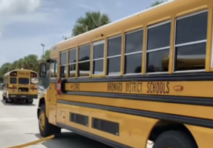 Carousel image 1ef31ca3fa3c317deb96 screenshot 2024 11 23 at 2.34.58 pm