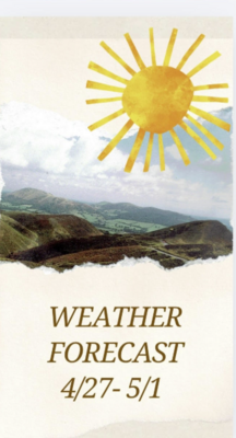 Carousel image 2de9627b04a918147b36 screenshot 2026 04 26 182113