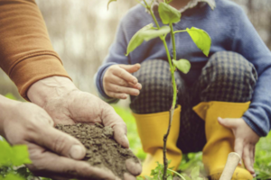 Carousel image 2e7b3039e6cb5feaeb51 screenshot 2026 04 15 144841