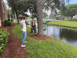 Carousel image 37369b3aebe1906b4a1f screenshot 2025 10 07 at 2.05.06 pm