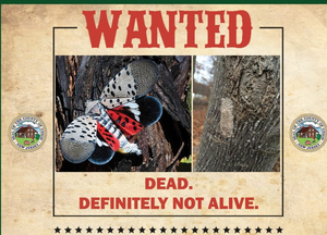 Carousel_image_3c323acd60d7c79adf62_screen_shot_2020-09-03_at_7.34.38_pm