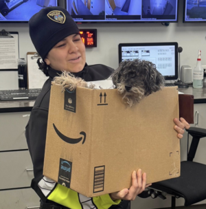 Carousel image 3cae2d2ddf17a86ab128 screenshot 2026 03 24 at 11.00.19 am