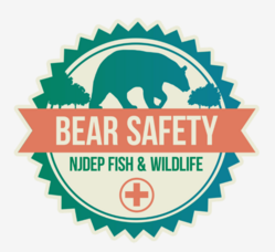 Carousel image 41b28edf4124fe26c171 screenshot 2026 04 13 234052