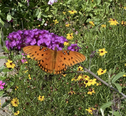 Carousel image 458a56d06de0f72c1af5 screenshot 2024 08 03 at 10.37.15 am