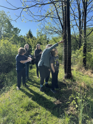 Carousel image 49e269b9977a97503463 screenshot 2026 04 23 at 7.35.21 am