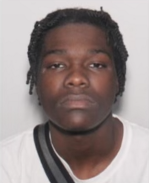 Carousel image 4d8a4c54fe1c014f7e67 screenshot 2024 11 07 at 4.26.01 pm