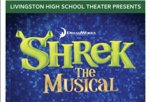 Carousel image 58e4e3ff5876229c0238 screenshot 2026 03 02 at 12.26.34 pm