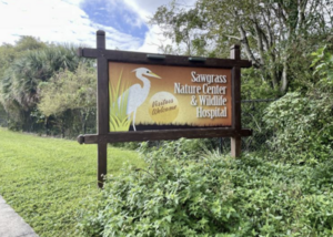 Carousel image 6b4c6f awgrass ature enter ildlife ospital