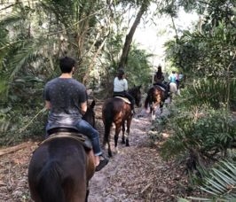 Carousel image 6bf37e3f751e05f9a8f1 screenshot 2025 01 15 at 1.37.23 pm