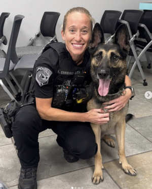 Carousel image 6d8d7b3a3b7135440a63 screenshot 2025 01 22 at 12.41.40 pm