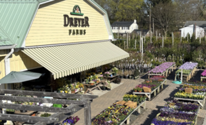 Carousel image 855623d7e0e17f4368cf screenshot 2026 04 06 at 12.50.26 pm