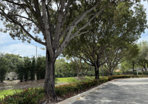 Carousel image 8a9a8a35512b57bb4c38 screenshot 2025 03 10 at 11.56.48 am