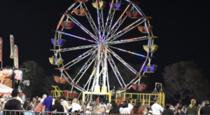 Carousel image 8ab71a utterfly estival in oconut reek