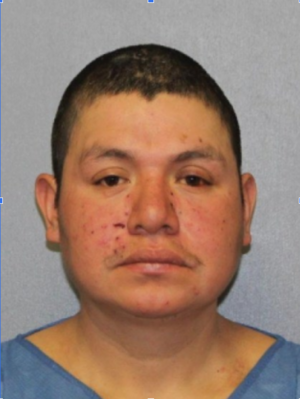 Carousel image 8e1c68dbed4e3b03575f screenshot 2026 03 01 070413