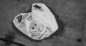 Carousel_image_93cefcd60904937d417c_screen_shot_2020-11-05_at_9.26.36_am