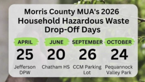 Carousel image 97696baa95dbfb211c82 screenshot 2026 03 28 081225