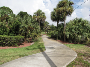 Carousel image 97f8c359e7a9a9ae2dbf screenshot 2026 02 08 at 9.39.46 am