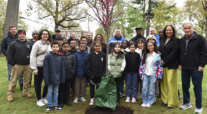 Carousel image 9a5f21cf703dc450f777 screenshot 2026 04 25 at 9.20.56 am