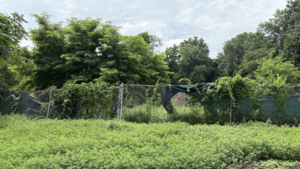 Carousel image 9cd5cbf5497f31a550a0 screenshot 2025 07 10 210151