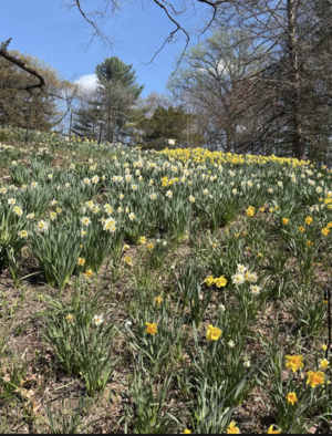 Carousel image a3c8423b8ed78b7ec329 screenshot 2026 04 17 at 9.41.55 am