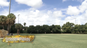 Carousel image b2b5f5 eorge erber emorial ark in oconut reek