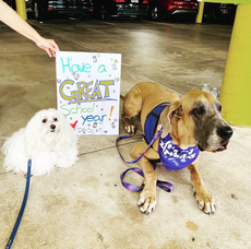 Carousel_image_b371801f5e498a302e75_screen_shot_2020-08-18_at_3.27.31_pm