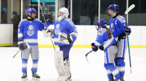 Carousel image b4ae90d2c298a4b5c2f4 scotch plains fanwood hockey vs. old bridge img 2383
