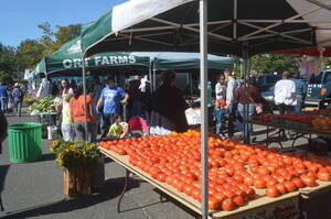 Carousel image bf885741696576003900 scotch plains farmers market   ort farms tomatoes