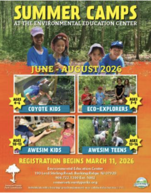 Carousel image bfd56c30b83b1d42bd31 screenshot 2026 04 23 at 7.22.33 am